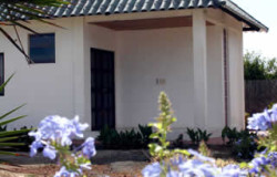 The garden and one of the bungalows