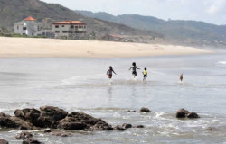 Children and dog challeging the waves