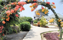 An arch of Bogainvilea welcomes you to the hotel