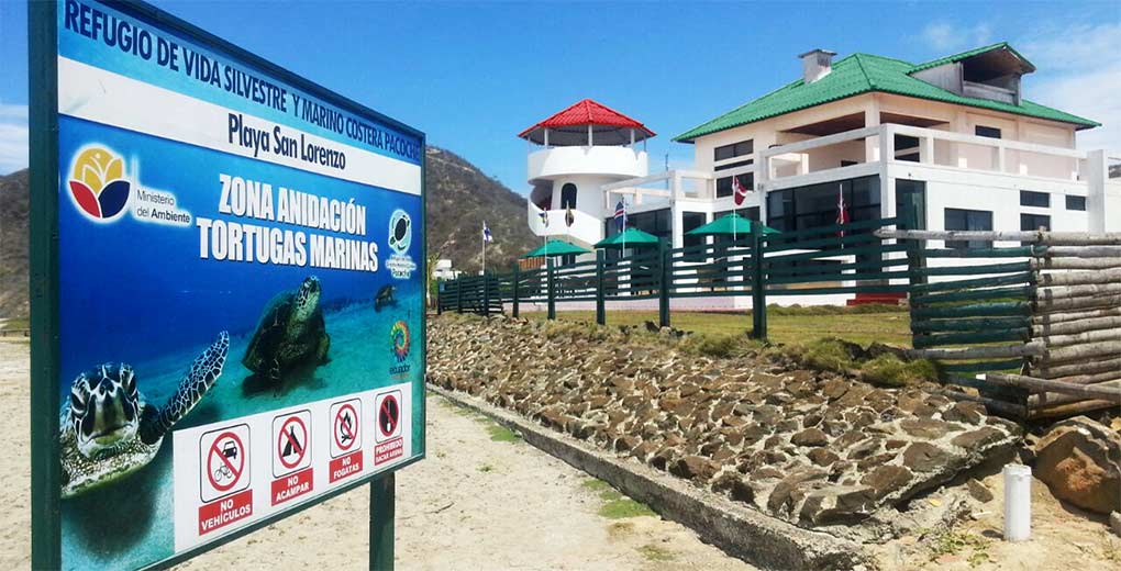 Nesting area of sea turtles